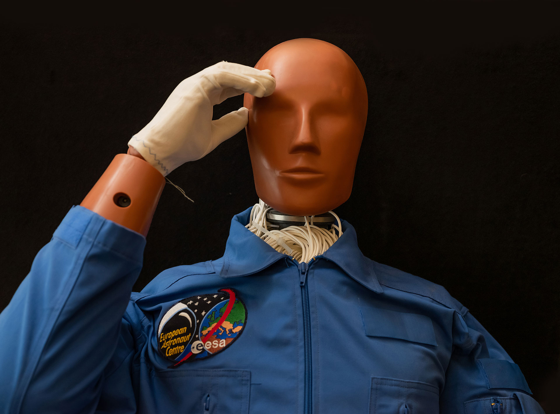 Anthropomorphic Test Dummy